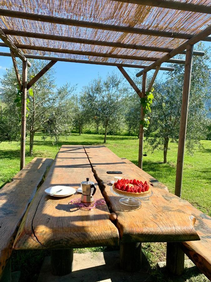 Agriturismo Casa Di Campagna ريفا ديل غاردا المظهر الخارجي الصورة