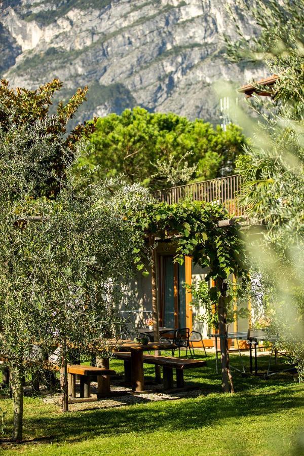 Agriturismo Casa Di Campagna ريفا ديل غاردا المظهر الخارجي الصورة