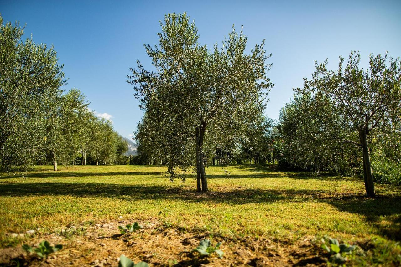 Agriturismo Casa Di Campagna ريفا ديل غاردا المظهر الخارجي الصورة