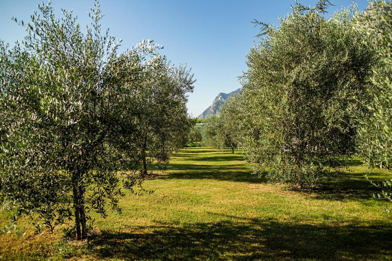 Agriturismo Casa Di Campagna ريفا ديل غاردا المظهر الخارجي الصورة