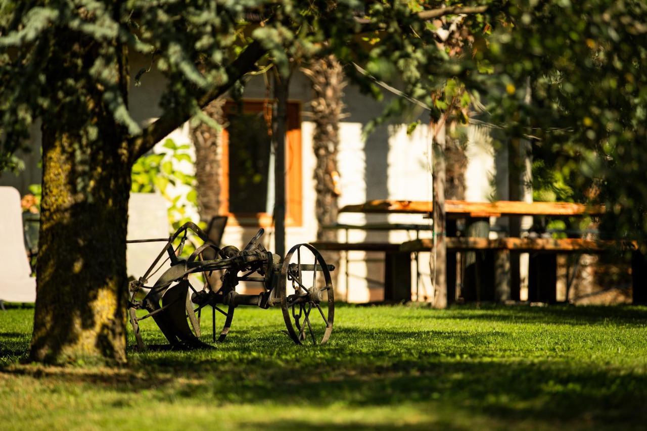 Agriturismo Casa Di Campagna ريفا ديل غاردا المظهر الخارجي الصورة