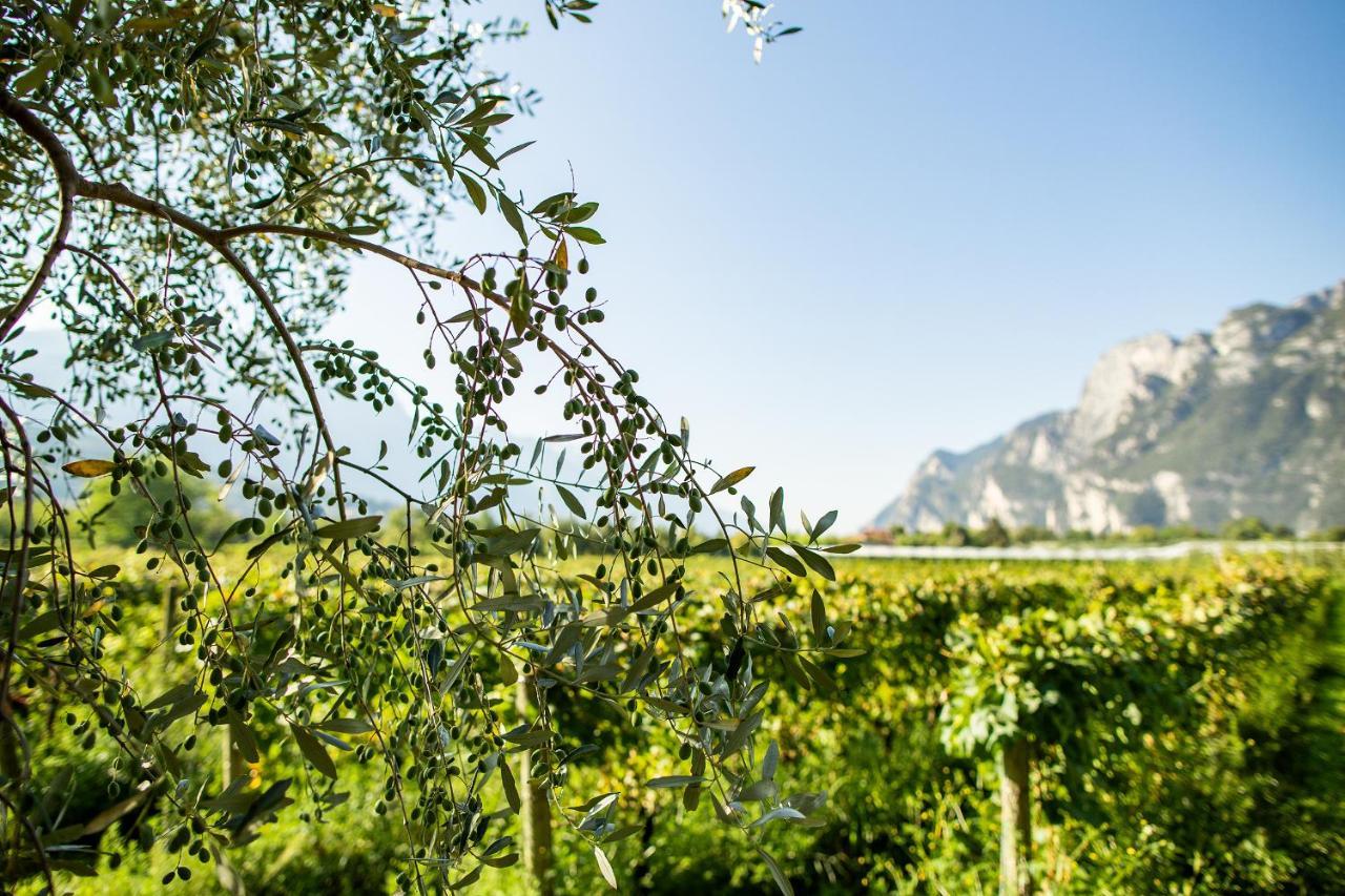 Agriturismo Casa Di Campagna ريفا ديل غاردا المظهر الخارجي الصورة