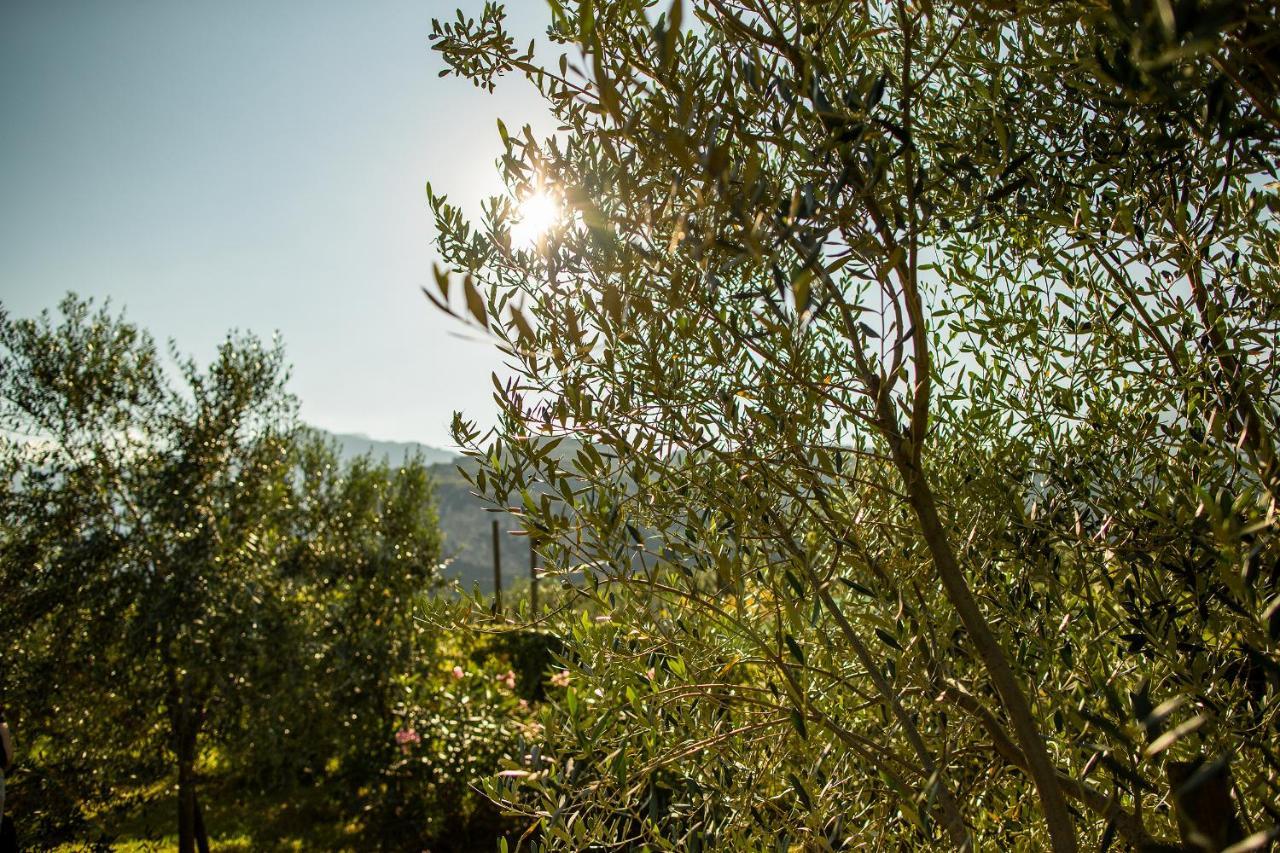 Agriturismo Casa Di Campagna ريفا ديل غاردا المظهر الخارجي الصورة