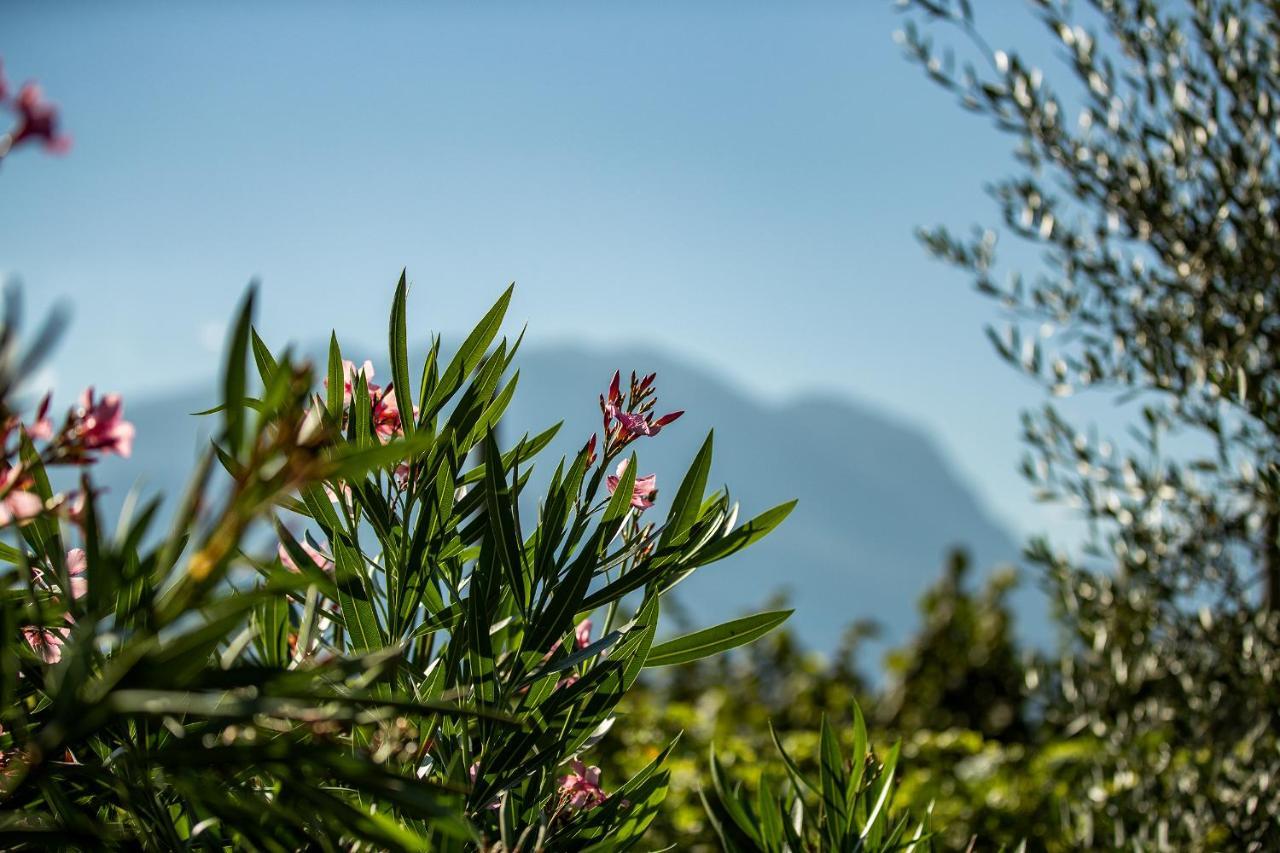 Agriturismo Casa Di Campagna ريفا ديل غاردا المظهر الخارجي الصورة