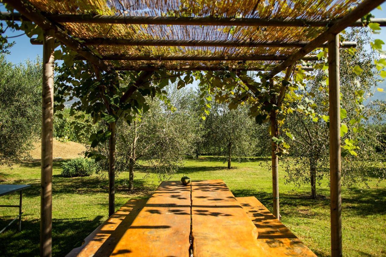 Agriturismo Casa Di Campagna ريفا ديل غاردا المظهر الخارجي الصورة